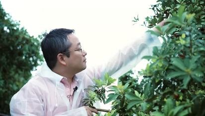 云图片